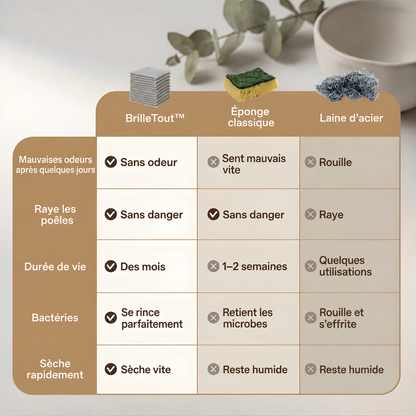 BrilleTout™ – Maille Magique Multi-Surfaces